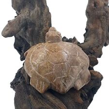 Wood petrified turtle statue stone carving charm heart handmade collect rare  picture