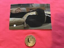 Special relic of Padre Pio ex indumentis with prayer in english + nice medal picture
