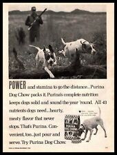 1968 Purina Complete Nutrition Dog Chow Hunting Dogs Vintage Print Ad picture