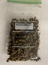 You Get 3/4 cup BEES 250 REAL Honeybees SPECIMEN INSECT TAXIDERMY diorama DRIED picture