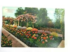 Vintage Postcard A Garden Scene in Midwinter Southern CA picture