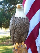 Concrete Statue American Bald Eagle, Hand Painted, Made in USA, Garden Decor picture