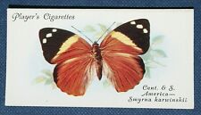 KARWINSKI'S BEAUTY   Butterfly   Vintage 1930's Card   picture