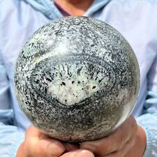 6.91LB Rare Natural Petrified Kiwi Fruit Fossil Magic Ball Therapy Healing/HUBE picture