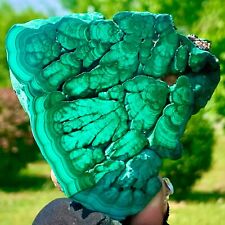 168G   Rare Natural Malachite quartz hand Carved Droplet-shape Crystal Healing picture