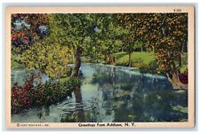 c1940 Greetings From Addison River Lake Swamp New York Vintage Antique Postcard picture