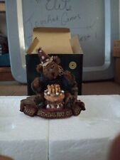 T8#111 Boyds Bears 228321GCC Happy Birthday You Old Bear - GM Bearenthal picture
