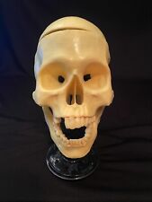 Vtg 1960 Superior Plastics Thinking Man Life Size Model Skull & 3D Brain & Box picture