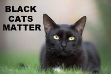 629A - Black Cats Lives Matter Refrigerator Magnet picture