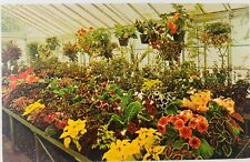 Vintage Mansfield Ohio OH Kingswood Center Greenhouse Flowers Garden picture