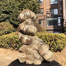 17.6LB Rare Natural Tentacle Ammonite FossilSpecimen Shell Healing Madagasc picture