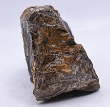 565g Waved Stromatolite Rough Natural Algae Fossil Gemstone Crystal Mineral Peru picture