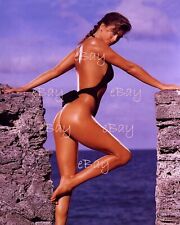 Kathy Ireland 43 Actress and Model 8X10 Photo Reprint picture