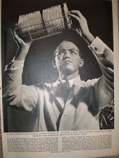 Photo article medical scientist Dr Jonas E Salk searching for polo vaccine 1956 picture