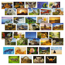 40 Pack Bulk Animal and Travel Postcards From Around the World for Mailing, 4x6