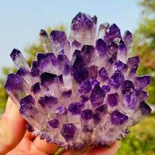 Decoration Rare Violet Ghost Phantom Amethyst Quartz Crystal Cluster Healing  picture