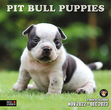 RED EMBER Pit Bull Puppies 2023 Wall Calendar | 12