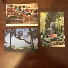Large Florida Postcards  picture