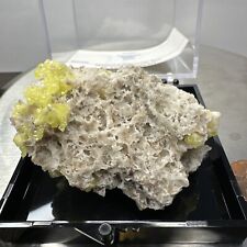 SULFUR on Matrix from Italy 🇮🇹, Mineral Specimen  picture