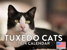 Tuxedo Cat 2024 Wall Calendar picture