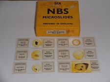 6 VINTAGE MICROSCOPE SLIDES OF LEPIDOPTERA BY N.B.S.  ORIGINAL BOX. picture