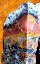 Volcanic Petrified Wood Limb Casting End Cut From Cube Utah See Cube In Store picture