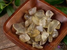 GOLDEN LABRADORITE Tumbled Healing Crystals Stones, Self Care, Unique Gift E0058 picture