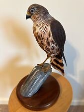 Hand Carved/Painted Wooden Cooper's Hawk Sculpture - Large 12 1/2