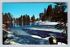 Cedar Lake CA-California, Winter at San Bernardino Mountains, Vintage Postcard picture