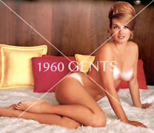 1960s Photo Print Big Breasts Blonde Allison Parks Playboy Playmate AP4 picture