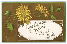 1909 Greetings From Lane Flowers Scene South Dakota SD Fairbury NE Postcard picture