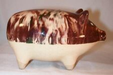 Vintage Pottery Still Penny Bank Two Tone Pig Standing on All Four Marked 120 E picture