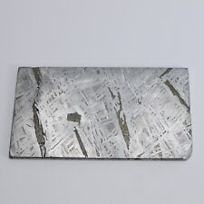 131g Muonionalusta meteorite slice R1916 picture