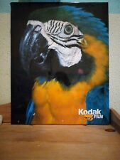 Vintage Kodak Film Advertising Sign Parrot Printed 1984 in USA 20