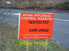 Photo 6x4 Avian Influenza ( Bird Flu ) Sign Coddenham Green Avian influen c2007 picture