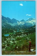 Mono County California CA Postcard Rock Creek Basin Showing Marsh 1967 Vintage picture