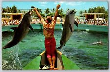 Miami, Florida - Two Happy Porpoises Jump Miami's Seaquarium - Vintage Postcard picture