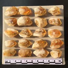 20pcs Bulk Citrine Dragon Short Tooth Raw Crystal Points Healing Uruguay picture