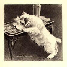 1947 Antique Sealyham Art Print Vintage Morgan Dennis Sealyham Dog Art 3881h picture