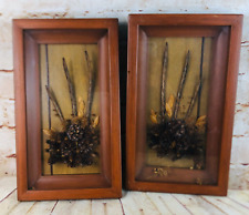2 vtg shadow boxes MCM nature decor wood w glass front 12.5