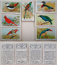 1920 PALESTINE Israel 7 CIGARETTE POP-UP 3D CARDS Judaica BIRDS Ornithology RARE picture