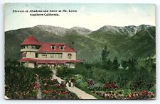 1913 SOUTHERN CALIFORNIA FLOWERS AT ALTADENA SHOW AT MT LOWE POSTCARD P3571 picture