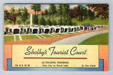 La Follette TN-Tennessee, Shelby's Tourist Court, Advertise, Vintage Postcard picture