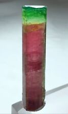 Beautiful Watermelon Tourmaline Rod Shape Heptagonal Terminated Crystal. N picture