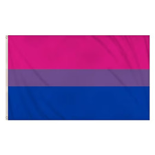 BISEXUAL FLAG LARGE DOUBLE STITCHED 5FT x 3FT PRIDE BANNER WITH EYELETS LGBTQ+ picture