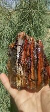 Lapidary Banded Jasper Possibly Petrified Wood A Mystery Stone Old Stock Collect picture