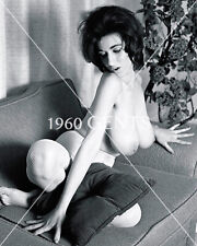 1960s Photo Print Big Breasts Brunette Joan Brinkman Art JB1 picture