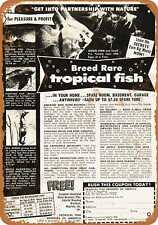 Metal Sign - 1953 Breed Rare Tropical Fish - Vintage Look Reproduction picture