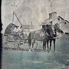 Antique Tintype Photograph Man Wagon Horse Barn Homestead Tinted Folk Art picture