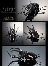 Bandai The Diversity of Life on Earth Beetle Figure Chalcosoma Moellenkampi picture